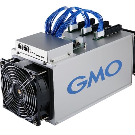 Gmo B2 24